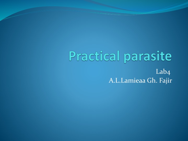 Parasitic and Non-Parasitic Materials in Feces Examination