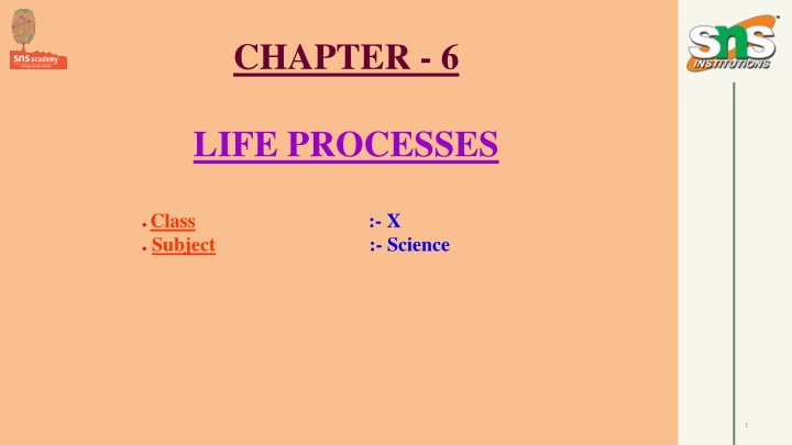 Life Processes in Living Organisms