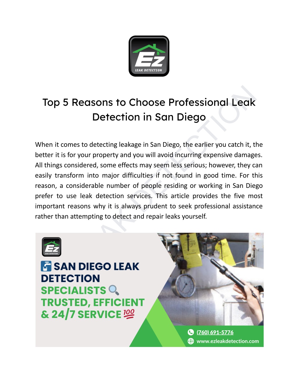 ez leak detection l.w