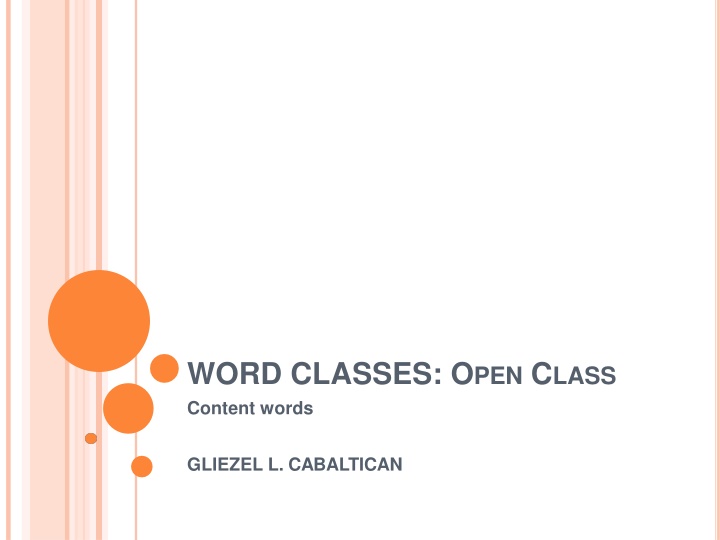 Word Classes and Noun Functions in Grammar