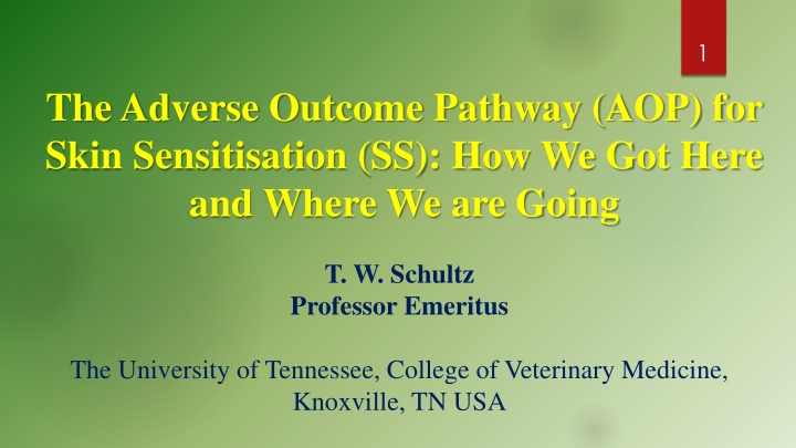 Skin Sensitisation through Adverse Outcome Pathways (AOP)