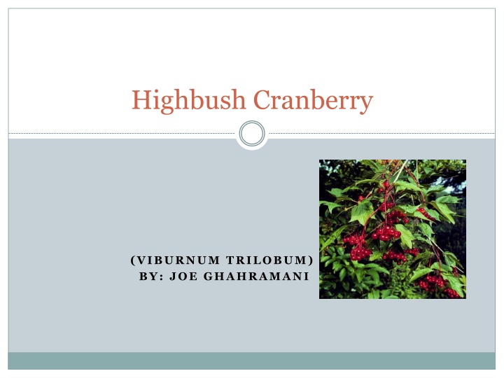 Guide to Growing and Using Highbush Cranberries
