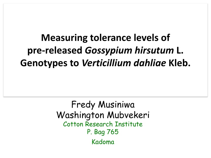 Tolerance Levels of Gossypium hirsutum L. Genotypes to Verticillium dahliae Kleb.