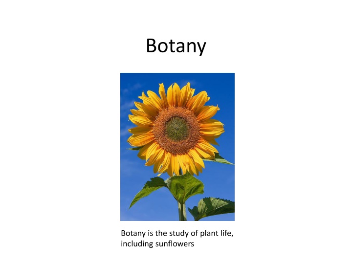 Overview of Botany: Study of Plant Life and Its Importance