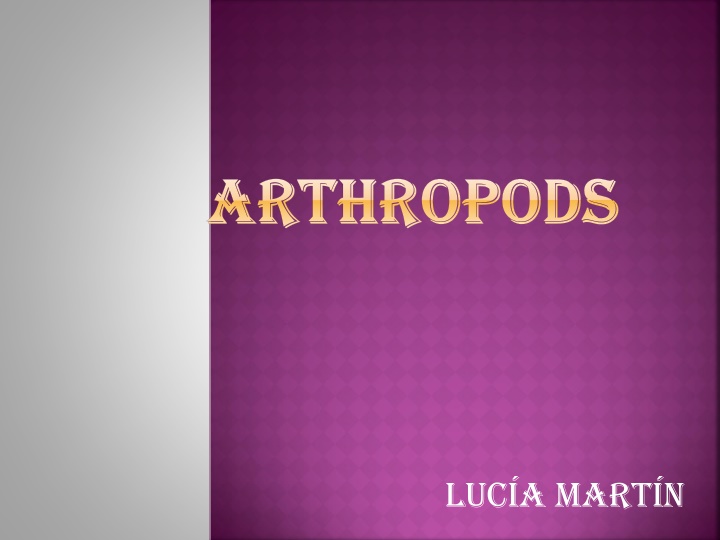 Fascinating World of Arthropods: From Insects to Arachnids