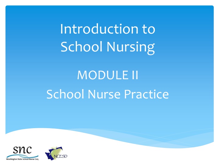 Comprehensive School Nursing Practice Guidelines