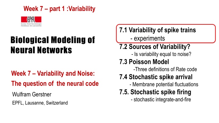 Exploring Variability and Noise in Neural Networks