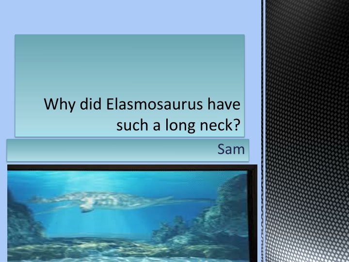 Why did Elasmosaurus Have Such a Long Neck?