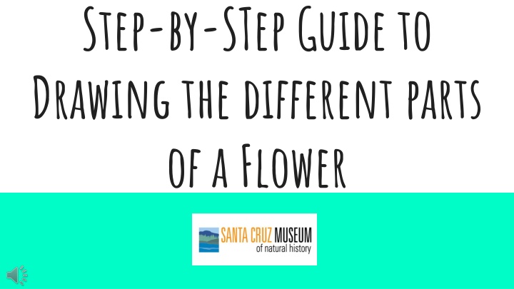 Step-by-Step Guide to Drawing the Different Parts of a Flower