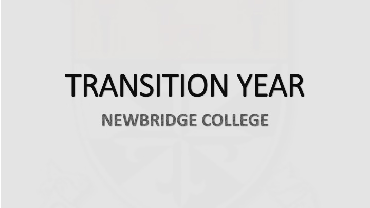 Transition Year Program at Newbridge College