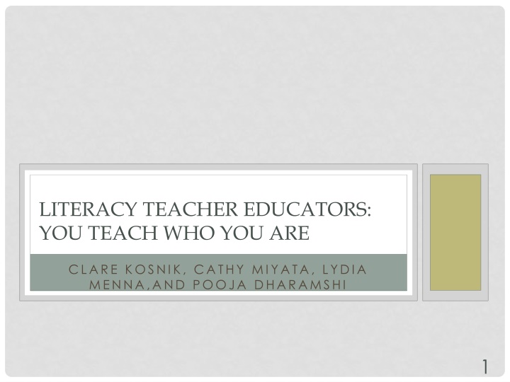 Literacy Teacher Educators: Backgrounds, Visions, and Practices