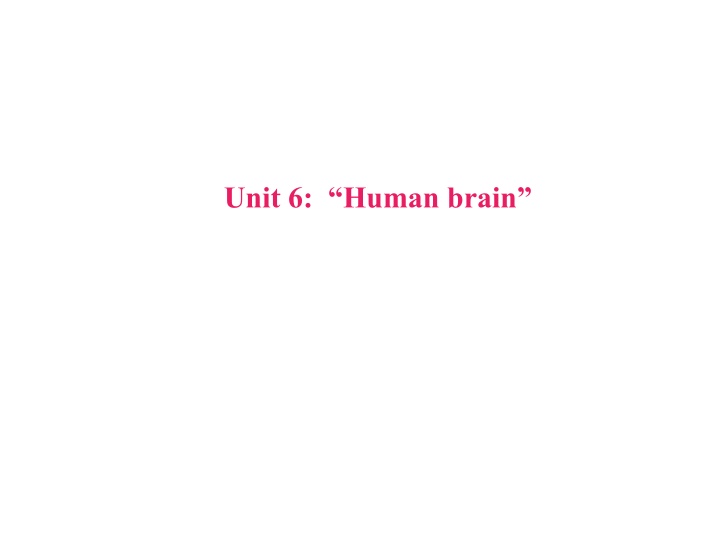 Capabilities of the Human Brain through Collaborative Learning