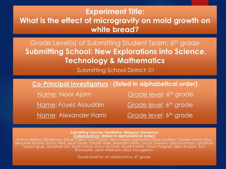 Effect of Microgravity on Mold Growth on White Bread