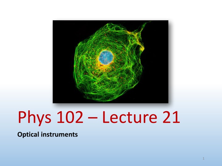 Optical Instruments: Lenses, Images, and Magnification