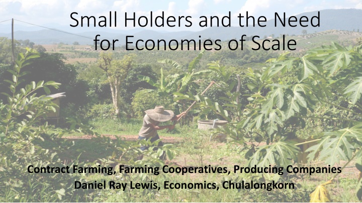Enhancing Smallholder Farming Through Economies of Scale and Cooperative Models
