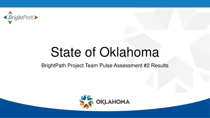 BrightPath Project Team Pulse Assessment #2 Results