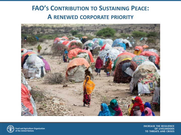 A Renewed Corporate Priority: FAO's Contribution to Sustaining Peace