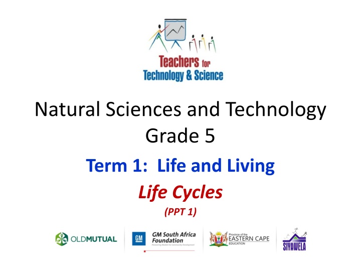 Life Cycles: Plants and Animals