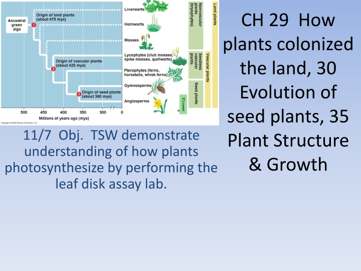 Plant Evolution and Characteristics