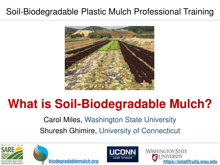 Soil-Biodegradable Plastic Mulch in Agriculture