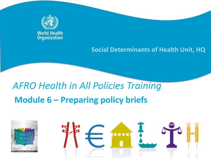 Mastering the Art of Policy Briefing