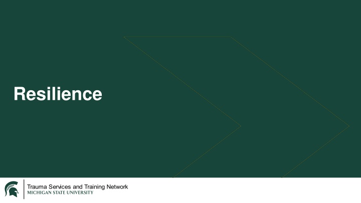 Resilience: Factors and Strategies for Overcoming Adversity