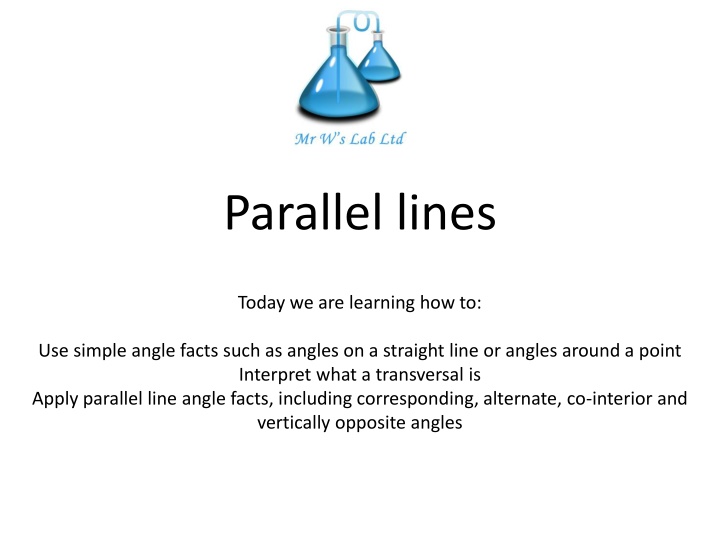 Parallel Lines and Angle Relationships