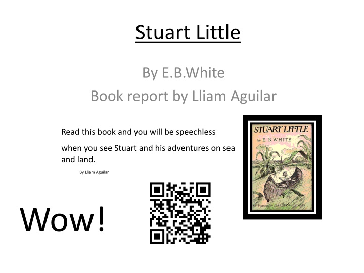 Stuart Little: A Tale of Adventure in New York City