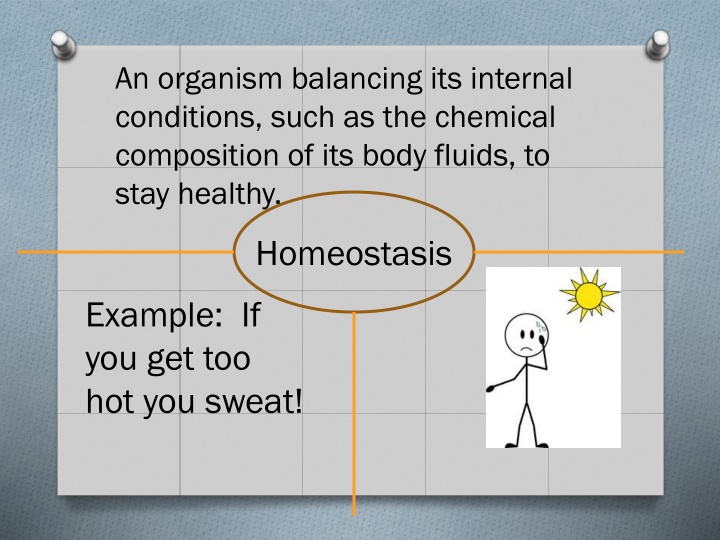 Biological Responses: Homeostasis, Stimuli, and Feedback Mechanisms