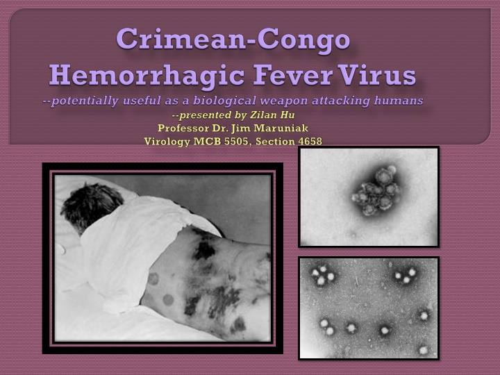 Overview of Crimean-Congo Hemorrhagic Fever Virus
