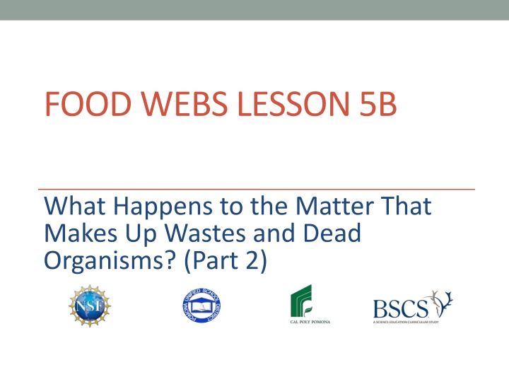 Decomposition in Food Webs Lesson 5B
