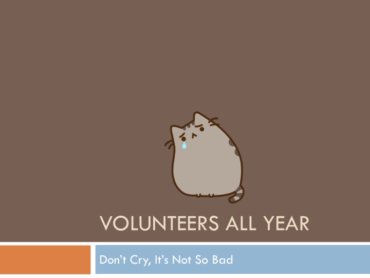 Year-Round Teen Volunteer Program Overview