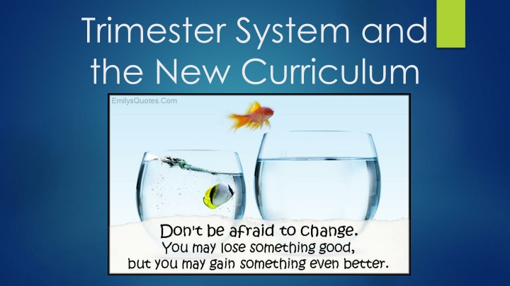 Enhancing Education Through the Trimester System and New Curriculum