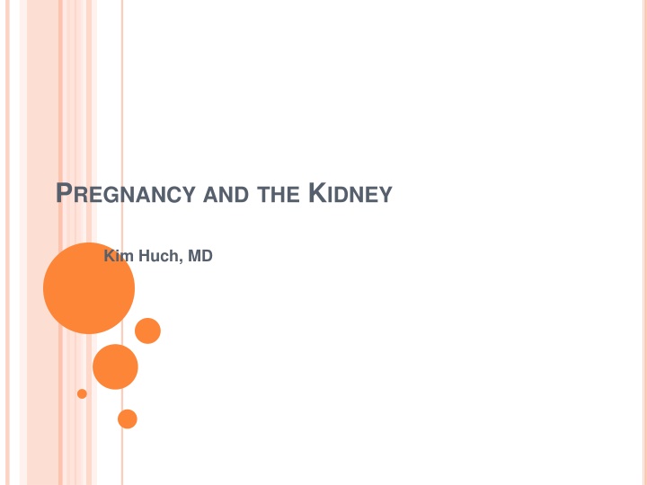 Pregnancy and the Kidney: Physiological Changes and Considerations for Chronic Kidney Disease
