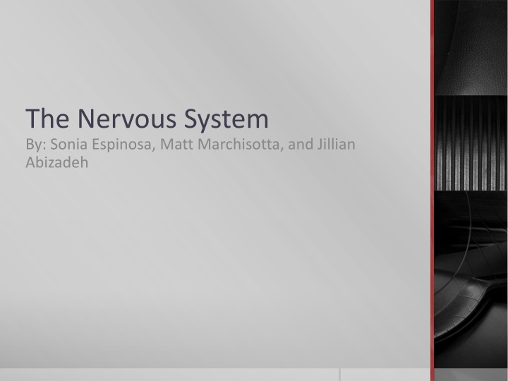 The Intricacies of the Nervous System