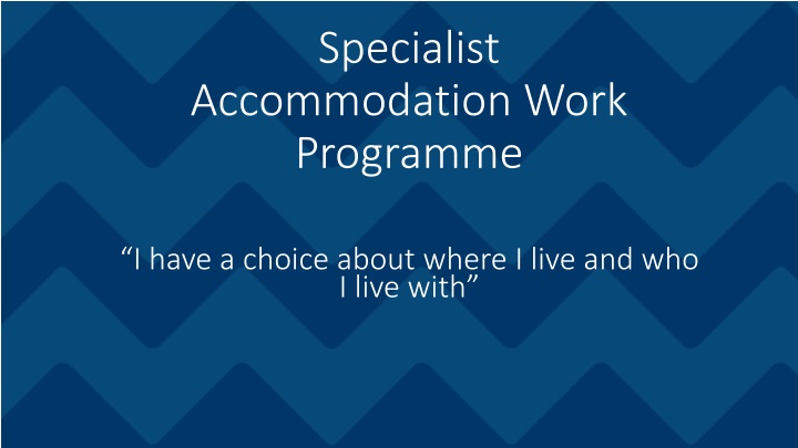 Specialist Accommodation Work Programme Overview