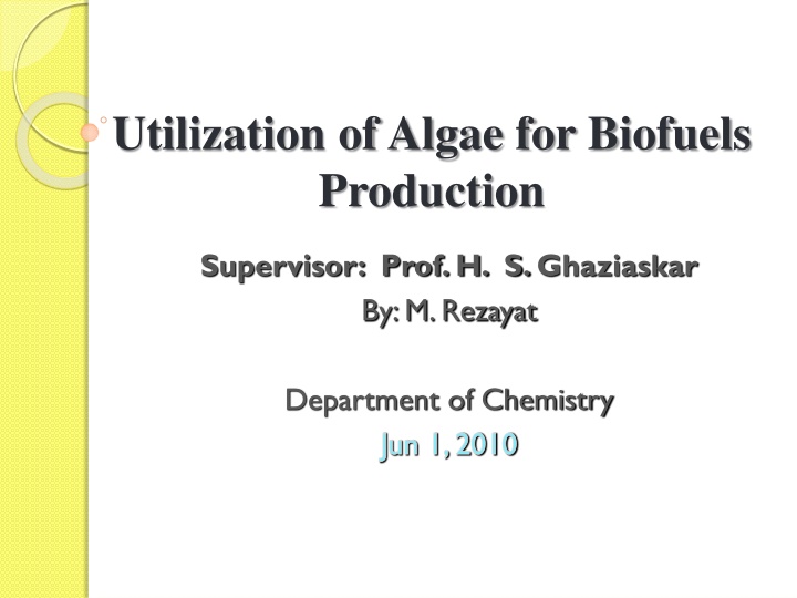 Utilization of Algae for Biofuels Production: A Comprehensive Overview