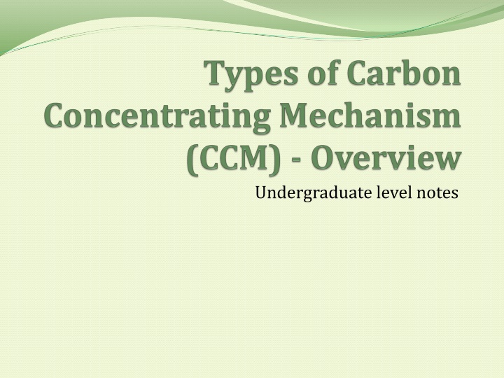 Mechanisms of Carbon Concentration in Plants: Biochemical and Biophysical Variants