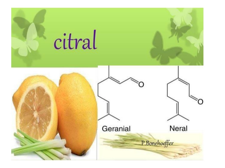 Citral Oxidation and Reduction Reactions in Organic Chemistry