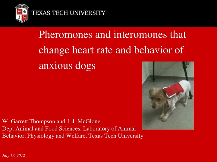 Pheromones and Interomones in Anxious Dogs