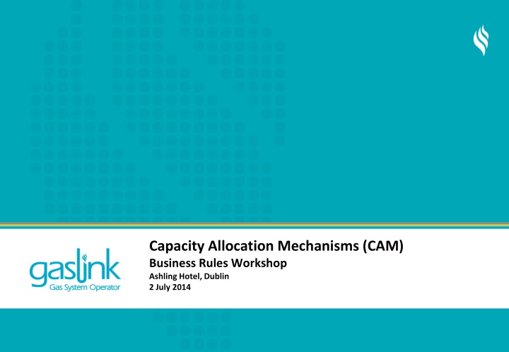 Capacity Allocation Mechanisms (CAM) Business Rules Workshop Summary