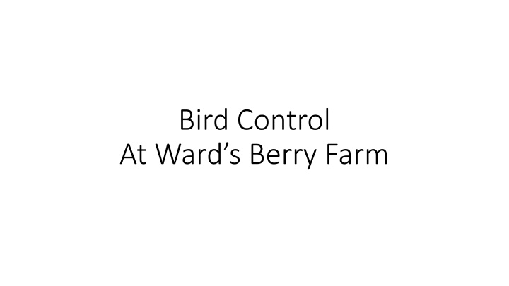 Bird Control at Ward's Berry Farm - Visual Journey Through Effective Methods
