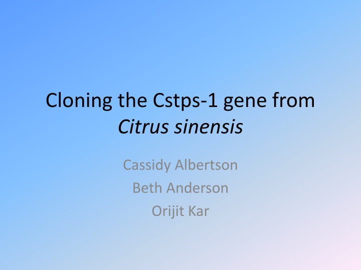 Cloning the Cstps-1 Gene from Citrus sinensis for Valencene Production