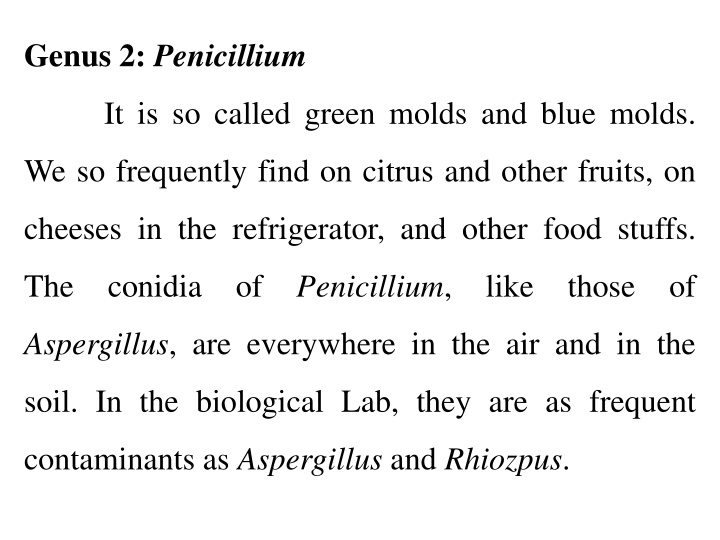 Insights into Penicillium and Gymnoascaceae Fungi