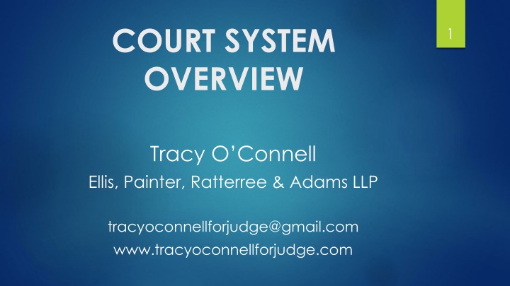 Overview of Georgia Court System