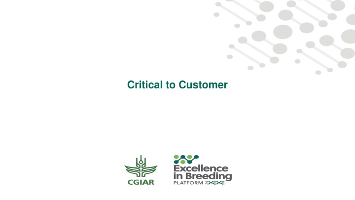 Critical Customer Needs for Project Success