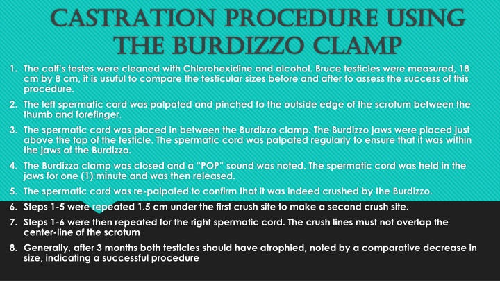 Burdizzo Clamp Castration Procedure in Cattle: Advantages, Disadvantages, and Pain Management