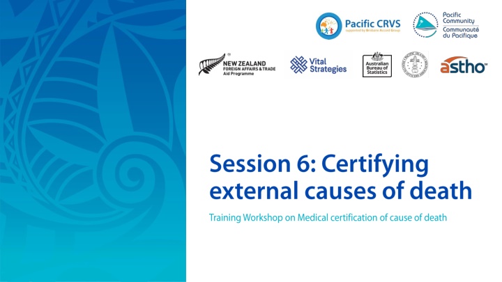 Guide to Handling Injuries, Poisonings, and External Causes of Death in Coronial Systems