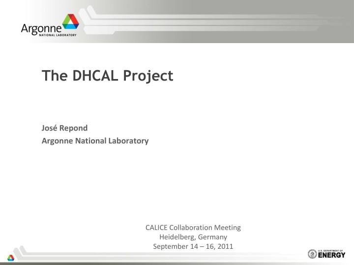Updates on the DHCAL Project and Test Beam Campaigns