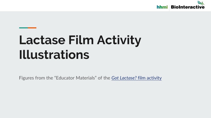 Lactase Film Activity Illustrations from Got Lactase? Educator Materials
